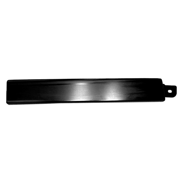LT Front bumper filler TOYOTA 4RUNNER 1996-2002; filler to grille; below headlamps